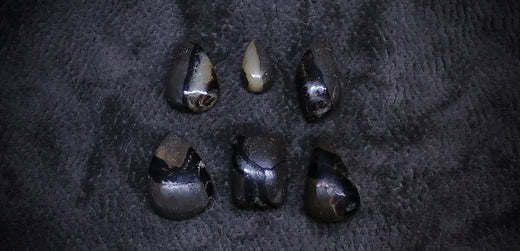 SEPTARIAN